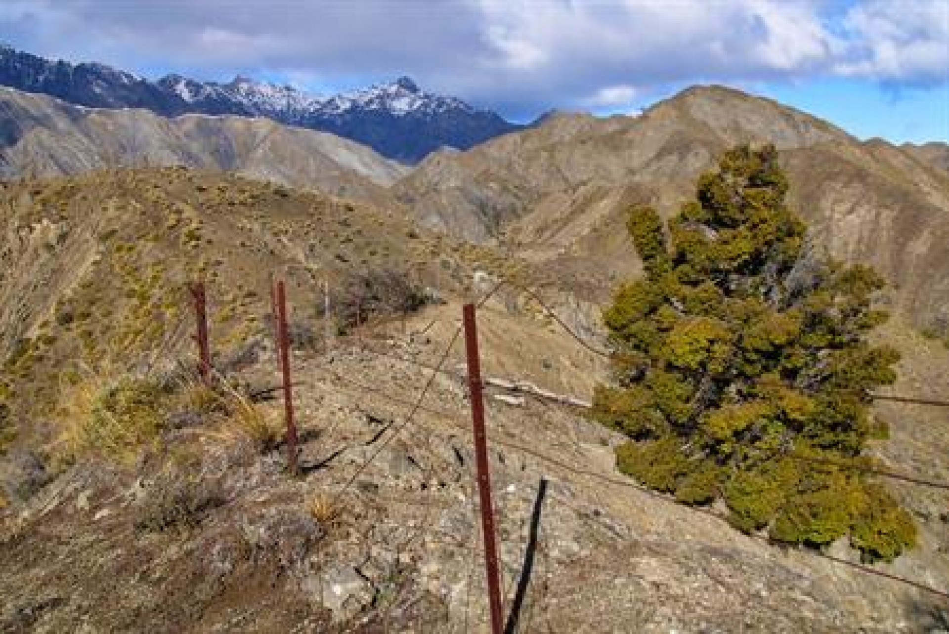 Hanmer Springs Southern Sheep Stations