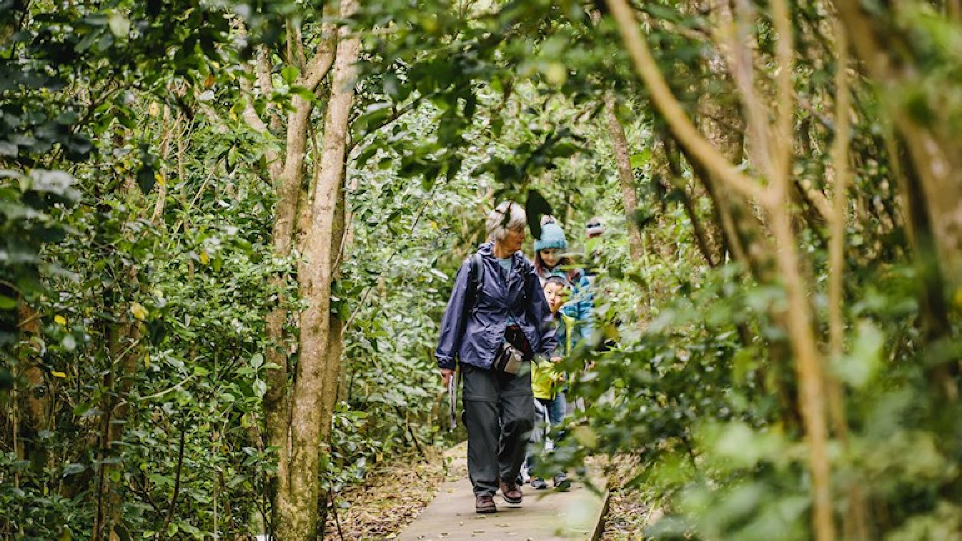 Tiritiri Matangi