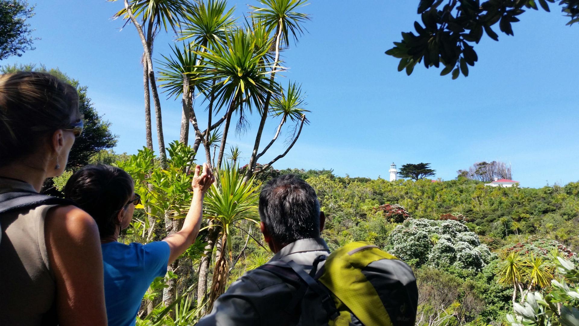 Tiritiri Matangi