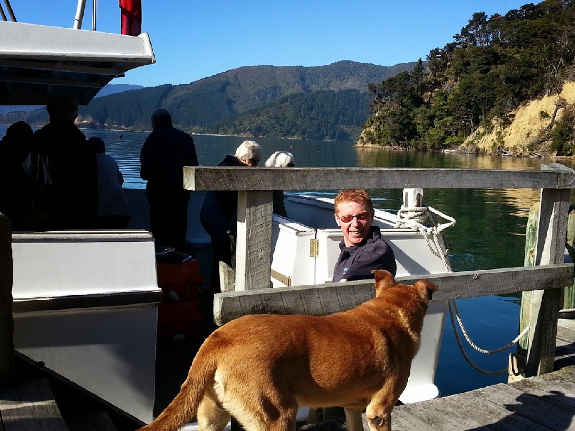 Marlborough Sounds - Planes Trains & Automobiles