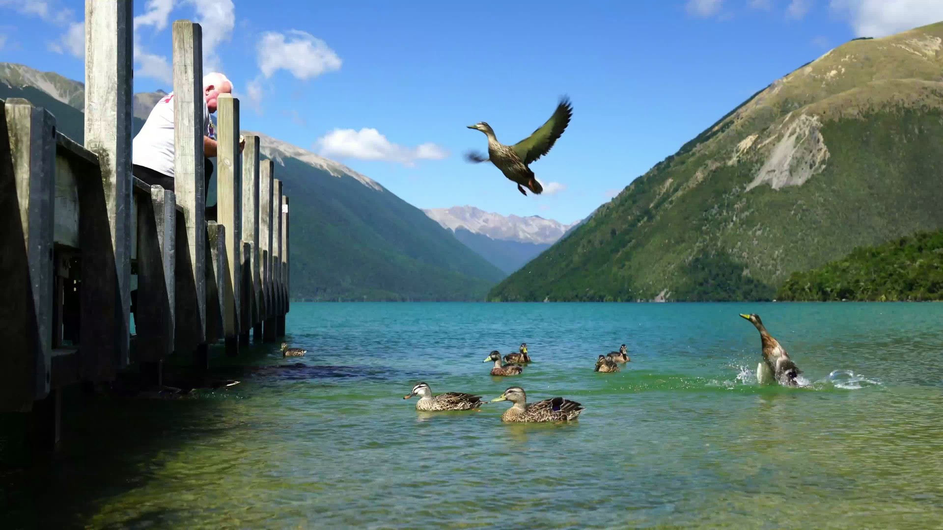 Springtime In Nelson - Beaches, Lakes And Mountains