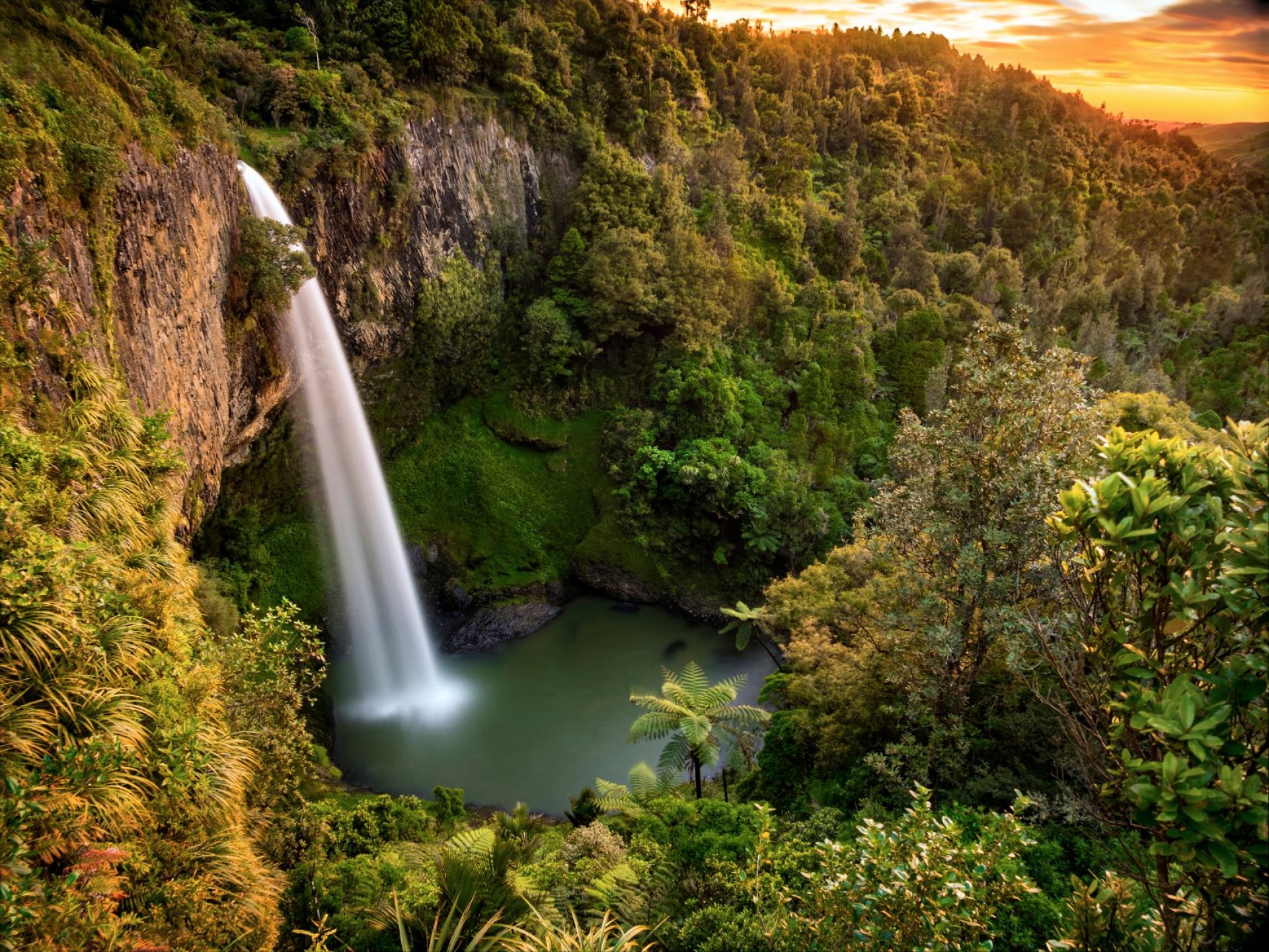 The Waikato West Coast Wilderness