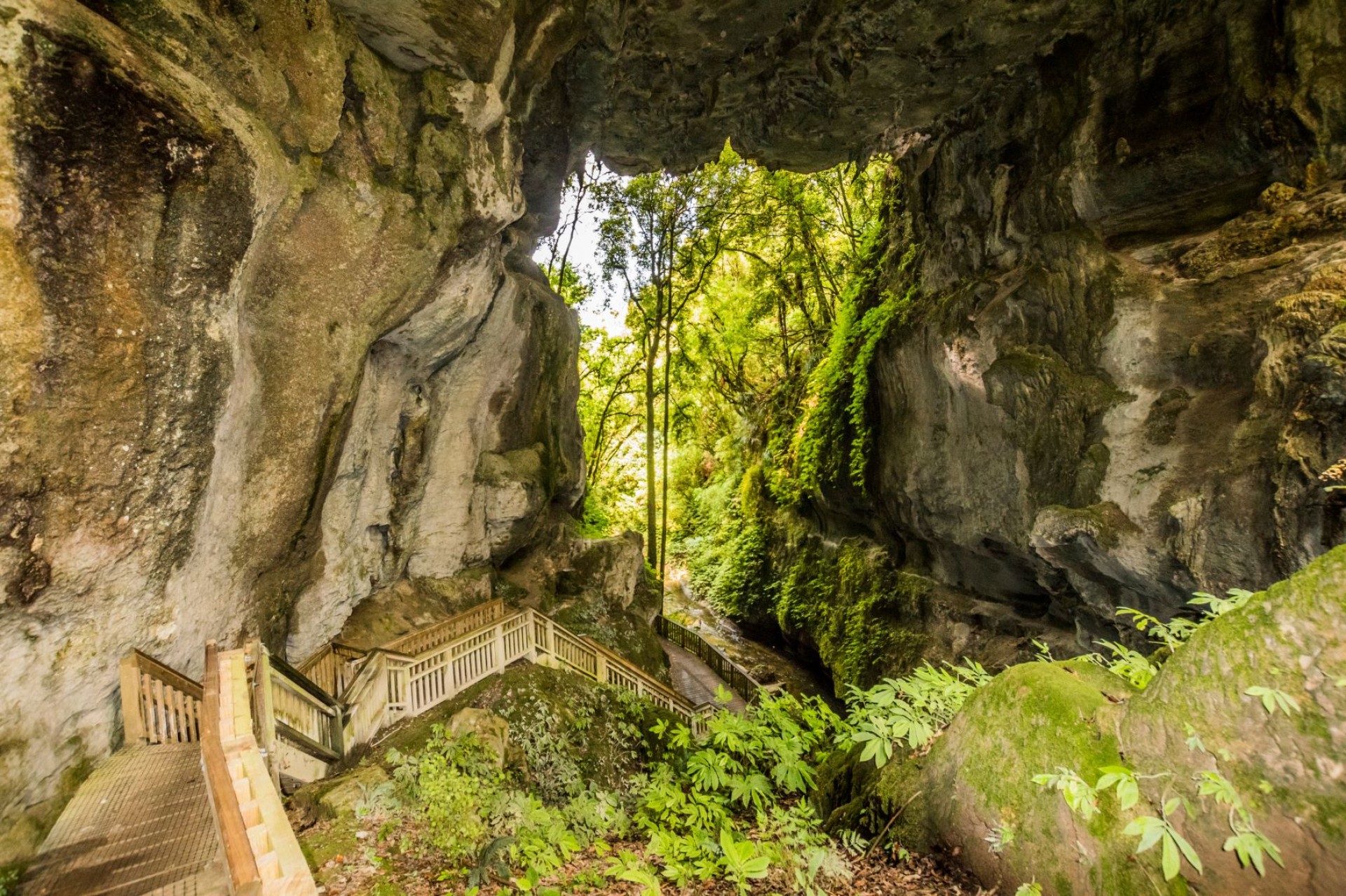 The Waikato West Coast Wilderness