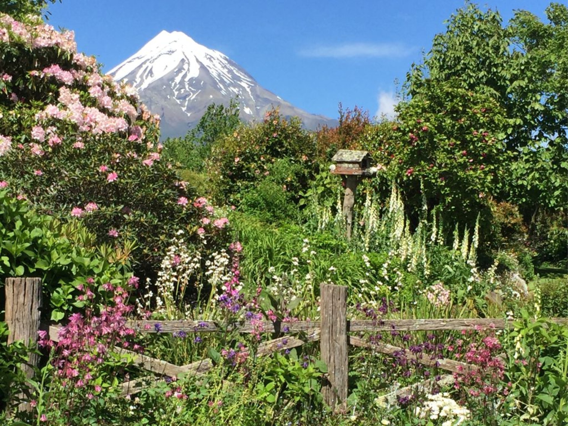 Taranaki Garden Festival 2025